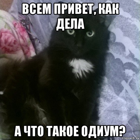 всем привет, как дела а что такое одиум?