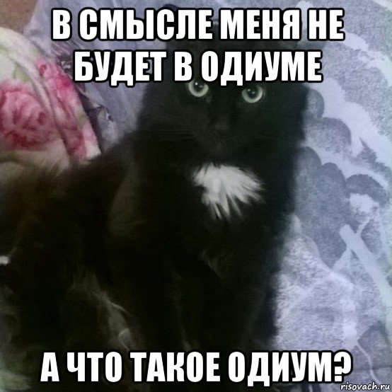 в смысле меня не будет в одиуме а что такое одиум?