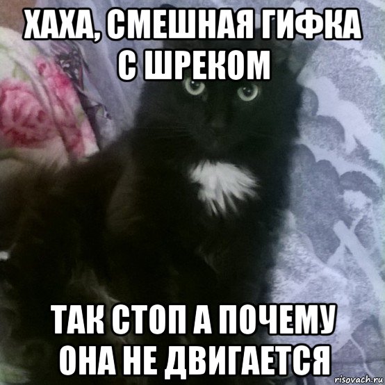 хаха, смешная гифка с шреком так стоп а почему она не двигается