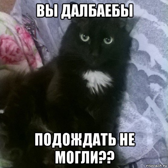 вы далбаебы подождать не могли??