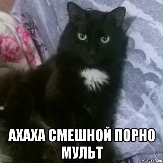  ахаха смешной порно мульт