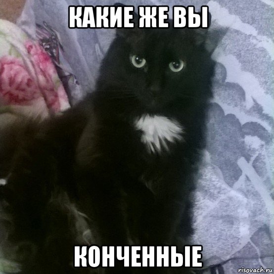 какие же вы конченные