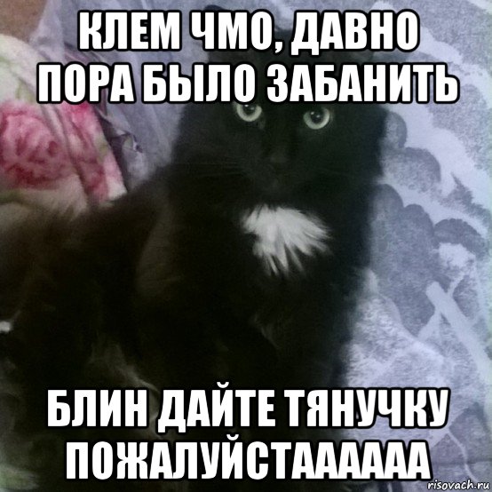 клем чмо, давно пора было забанить блин дайте тянучку пожалуйстаааааа