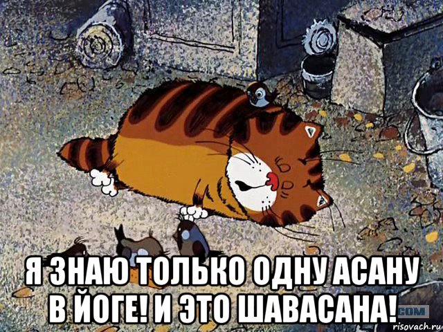  я знаю только одну асану в йоге! и это шавасана!, Мем Кот и йога