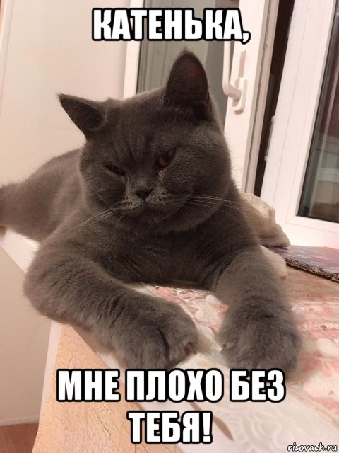 катенька, мне плохо без тебя!