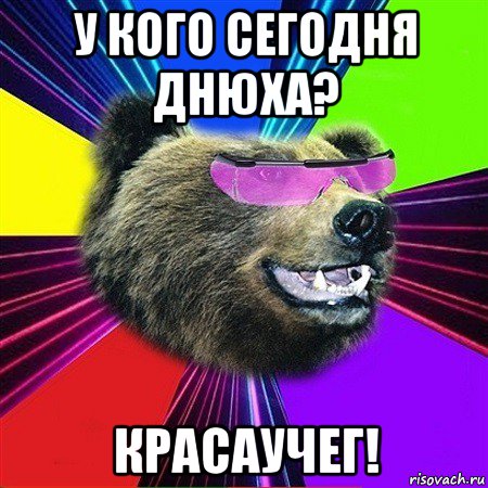у кого сегодня днюха? красаучег!