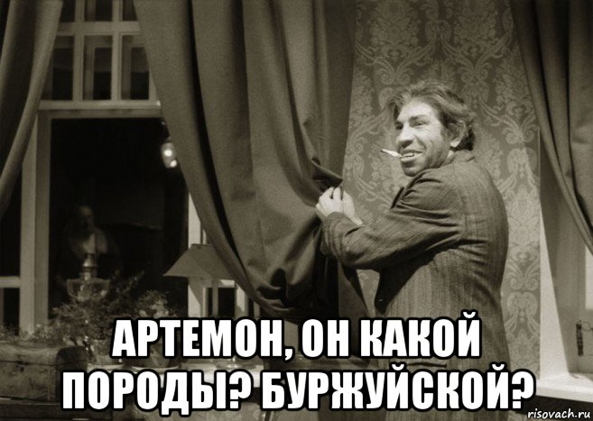  артемон, он какой породы? буржуйской?