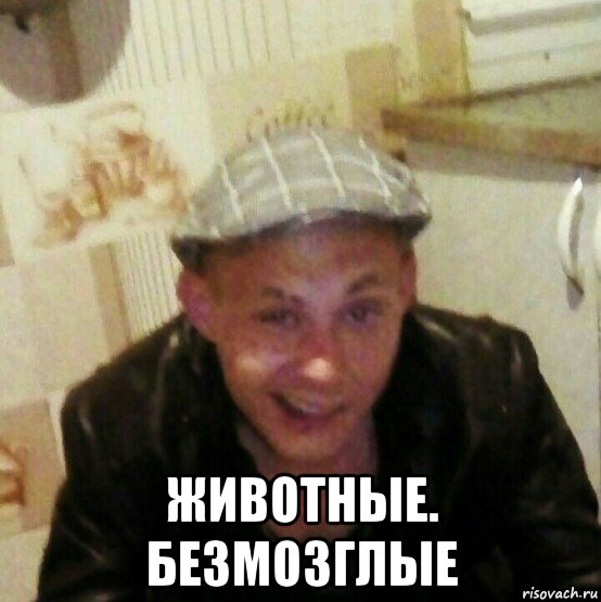  животные. безмозглые