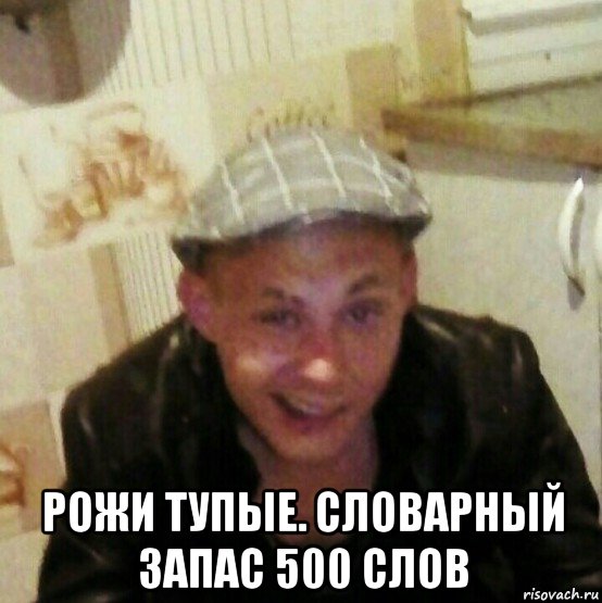 рожи тупые. словарный запас 500 слов