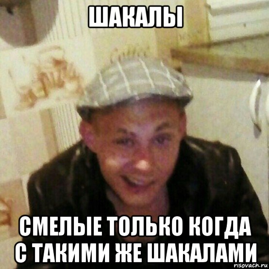 шакалы смелые только когда с такими же шакалами