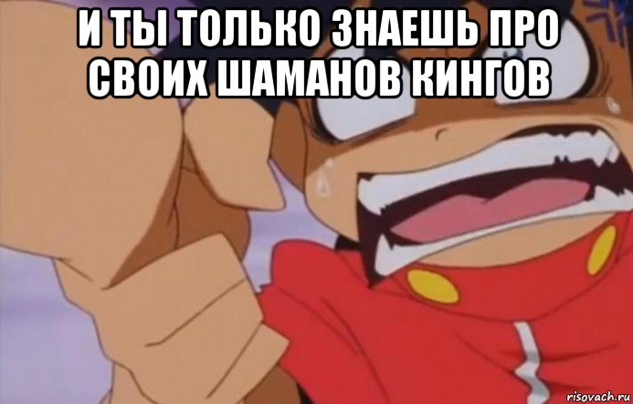 и ты только знаешь про своих шаманов кингов 