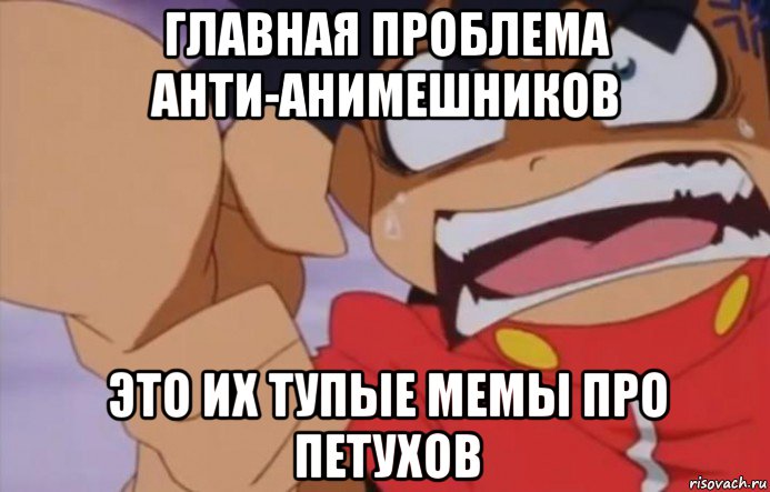 главная проблема анти-анимешников это их тупые мемы про петухов