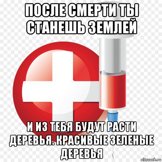 после смерти ты станешь землей и из тебя будут расти деревья. красивые зеленые деревья