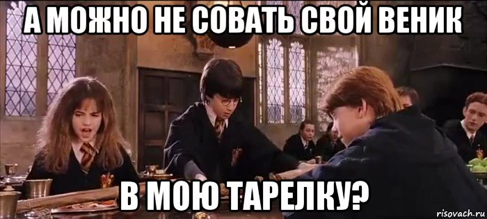 а можно не совать свой веник в мою тарелку?, Мем Метла