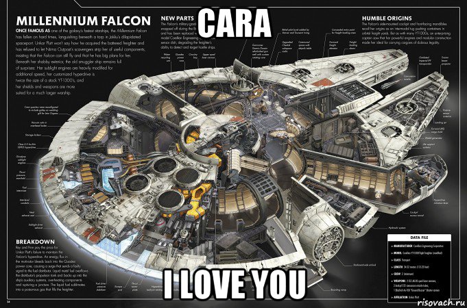 cara i love you, Мем Millennium Falcon