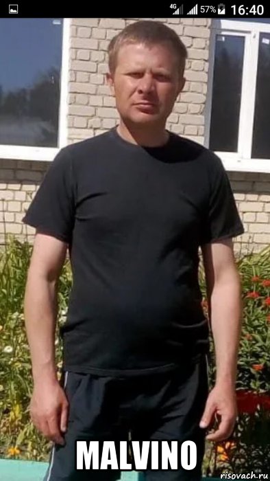  malvino, Мем MM