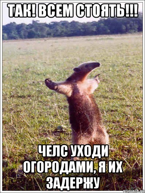 так! всем стоять!!! челс уходи огородами, я их задержу