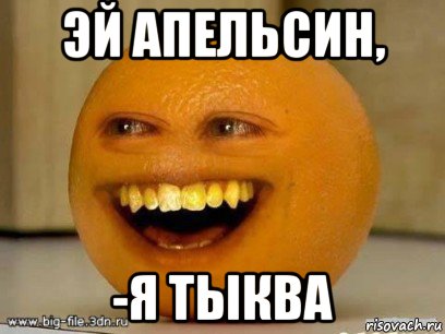 эй апельсин, -я тыква, Мем Надоедливый апельсин