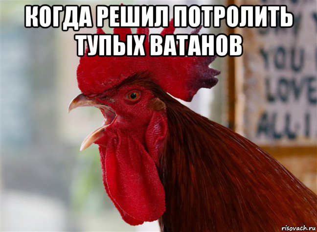 когда решил потролить тупых ватанов , Мем Неопущеный Петух