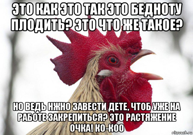 это как это так это бедноту плодить? это что же такое? но ведь нжно завести дете, чтоб уже на работе закрепиться? это растяжение очка! ко-коо