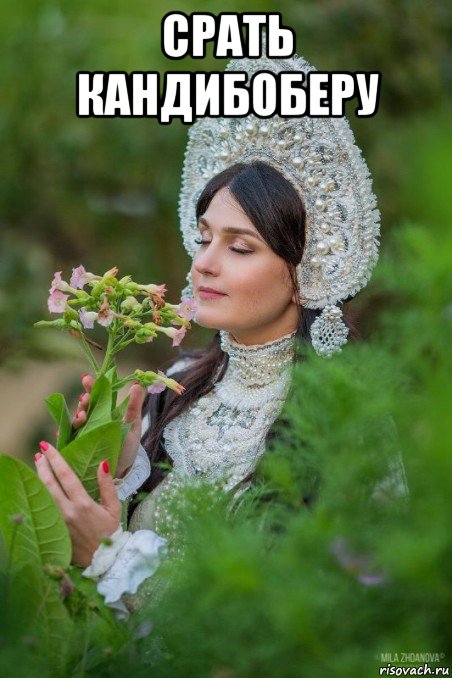 срать кандибоберу 