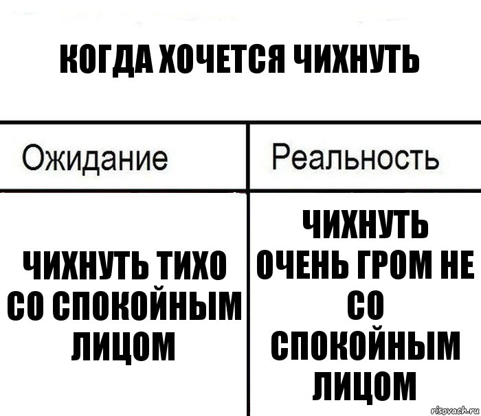 Когда хочется чихнуть Чихнуть тихо со спокойным лицом Чихнуть очень гром не со спокойным лицом, Комикс  Ожидание - реальность