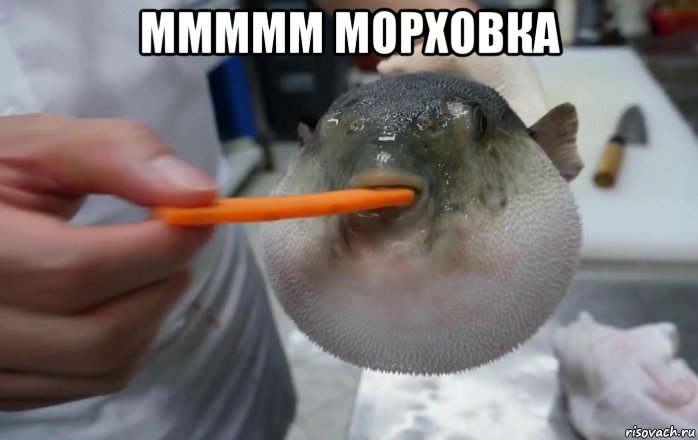 ммммм морховка , Мем Паффер фиш