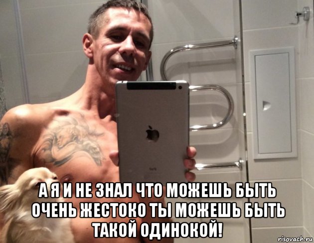  а я и не знал что можешь быть очень жестоко ты можешь быть такой одинокой!, Мем Панин и собака