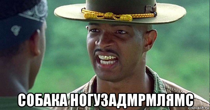  собака ногузадмрмлямс, Мем Паровозик