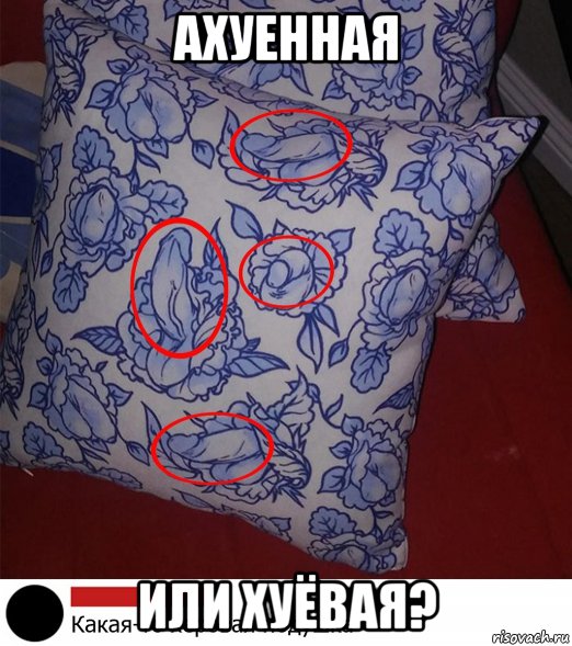 ахуенная или хуёвая?, Мем Пд