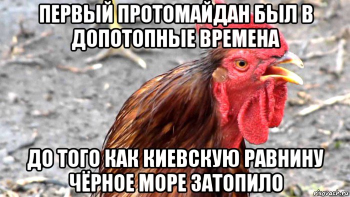 первый протомайдан был в допотопные времена до того как киевскую равнину чёрное море затопило