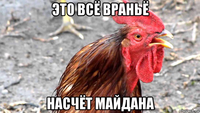 это всё враньё насчёт майдана