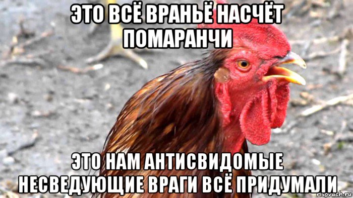 это всё враньё насчёт помаранчи это нам антисвидомые несведующие враги всё придумали