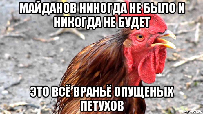майданов никогда не было и никогда не будет это всё враньё опущеных петухов