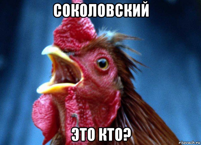 соколовский это кто?, Мем Петух