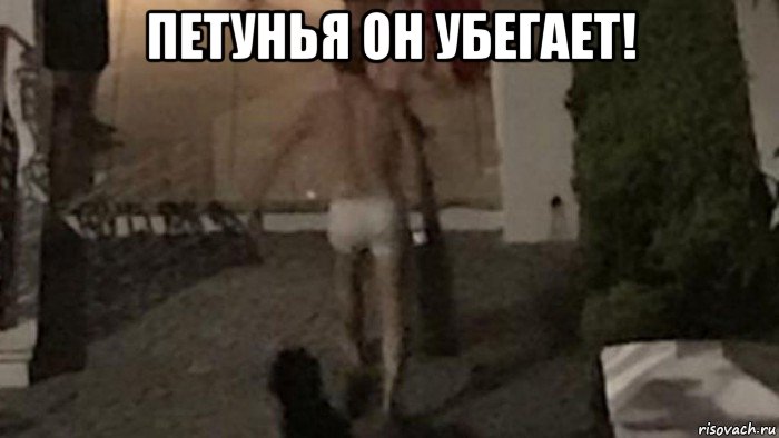 петунья он убегает! , Мем Петуния он убегает и занимается треками в машине