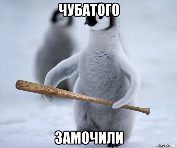 чубатого замочили