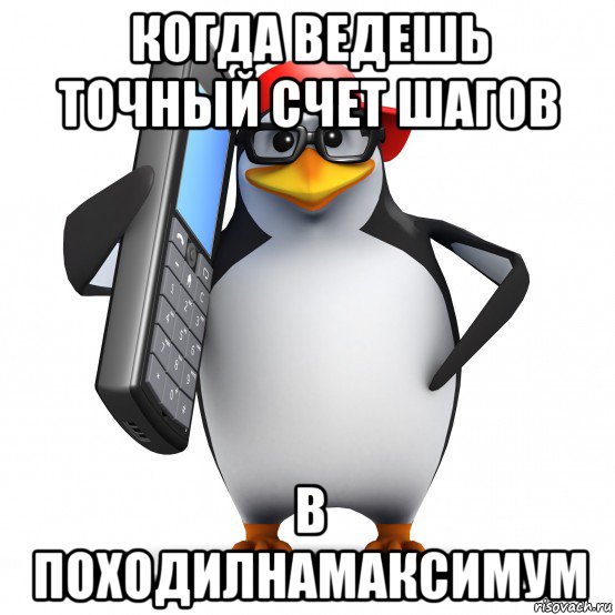 когда ведешь точный счет шагов в походилнамаксимум, Мем   Пингвин звонит