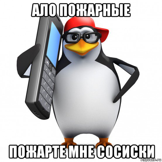 ало пожарные пожарте мне сосиски, Мем   Пингвин звонит