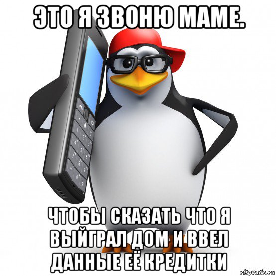 это я звоню маме. чтобы сказать что я выйграл дом и ввел данные её кредитки, Мем   Пингвин звонит