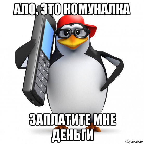 ало, это комуналка заплатите мне деньги, Мем   Пингвин звонит