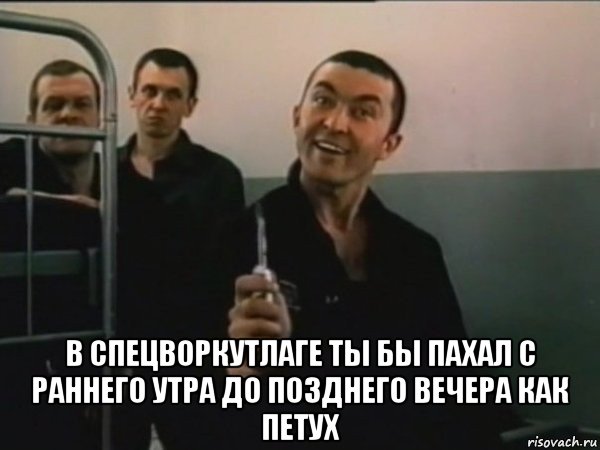  в спецворкутлаге ты бы пахал с раннего утра до позднего вечера как петух, Мем Пистон