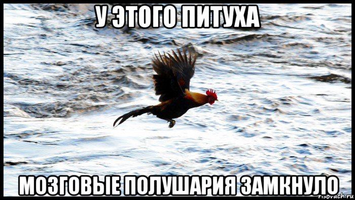 у этого питуха мозговые полушария замкнуло