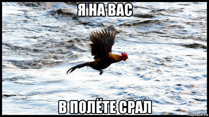 я на вас в полёте срал
