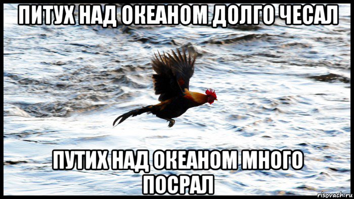 питух над океаном долго чесал путих над океаном много посрал
