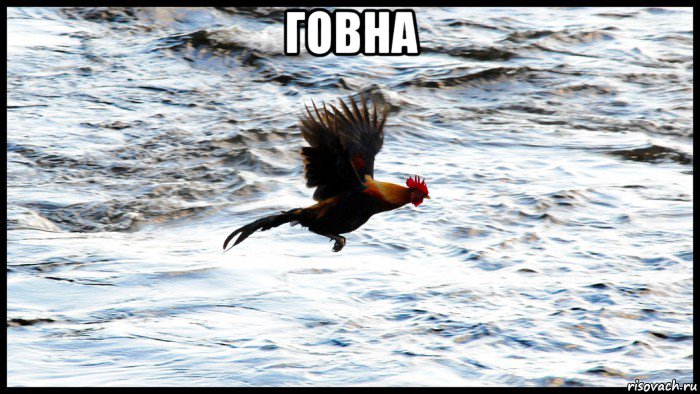 говна 