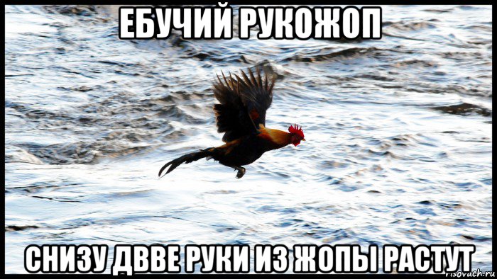 ебучий рукожоп снизу двве руки из жопы растут