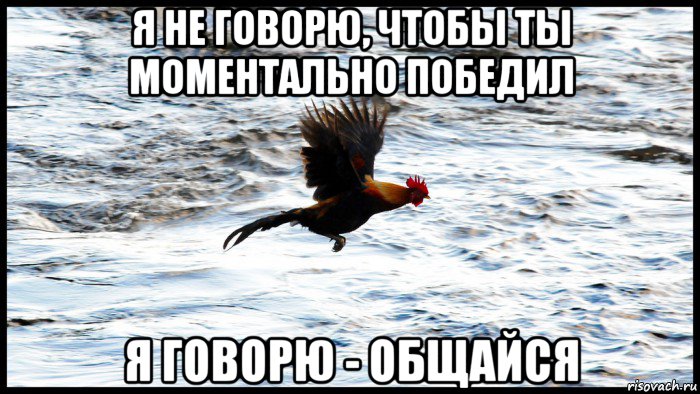 я не говорю, чтобы ты моментально победил я говорю - общайся