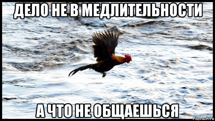дело не в медлительности а что не общаешься