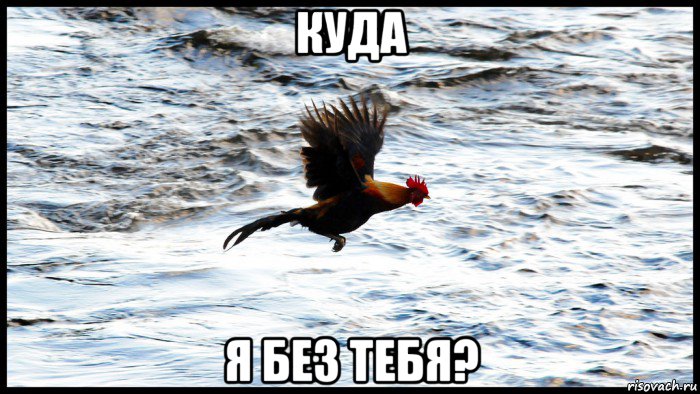 куда я без тебя?